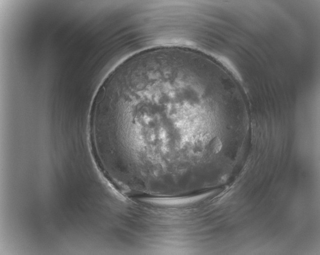 X0000070360895200606121206