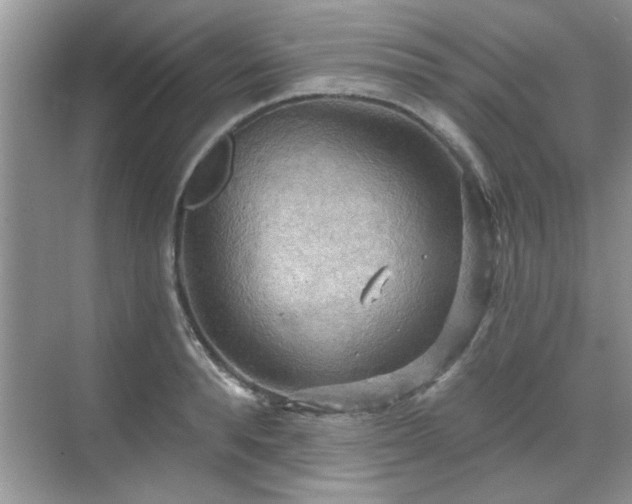 X0000070360896200606121206