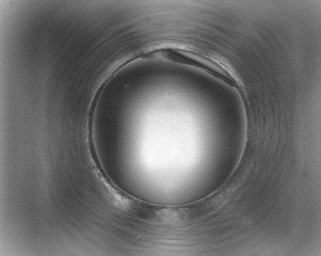 X0000070360898200606121206