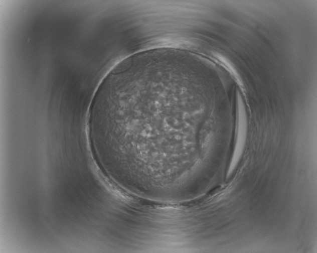 X0000070360899200606121206