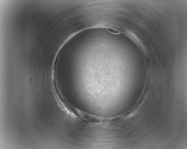 X0000070360900200606121206