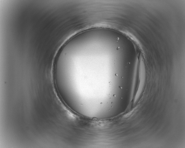 X0000070360902200606121206