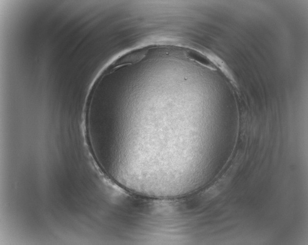 X0000070360904200606121206