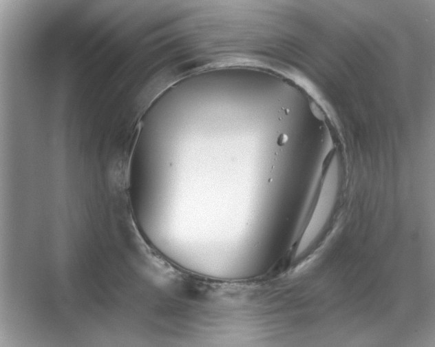 X0000070360905200606121206