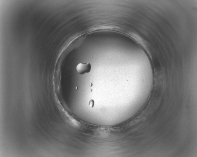 X0000070360906200606121206