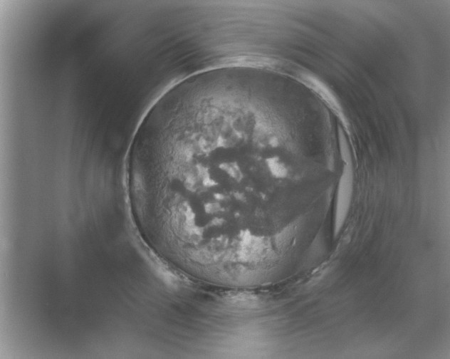 X0000070360907200606121206