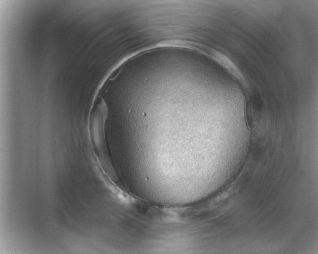 X0000070360908200606121206