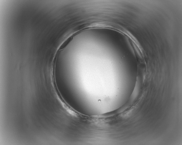 X0000070360909200606121206