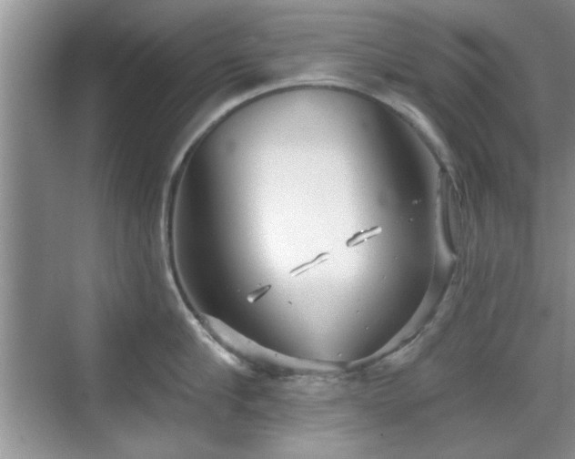 X0000070360910200606121206