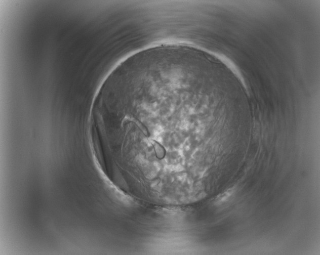 X0000070360911200606121206