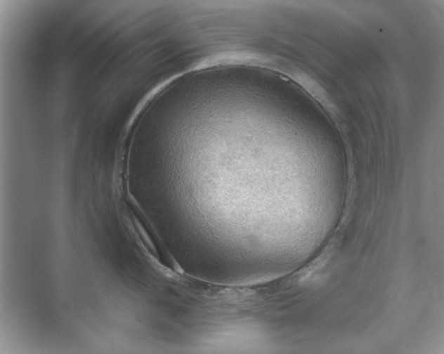 X0000070360912200606121206