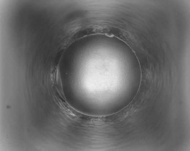 X0000070360914200606121205