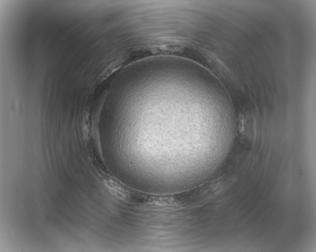 X0000070360915200606121205