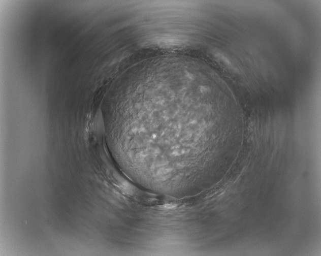 X0000070360917200606121205