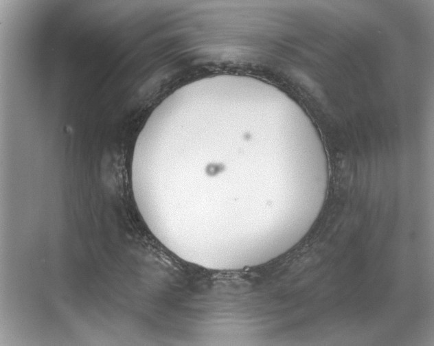 X0000070360918200606121205