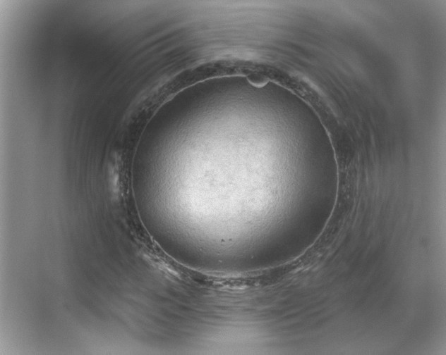 X0000070360919200606121205