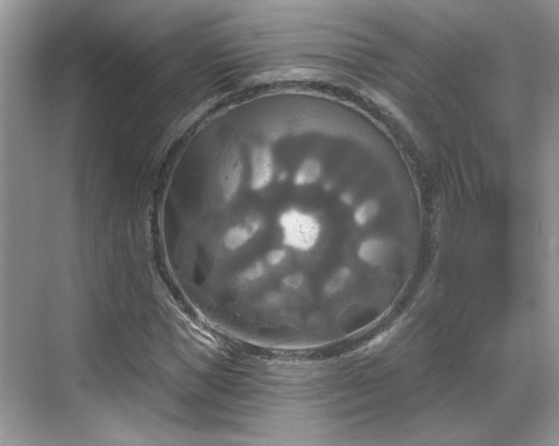 X0000070360921200606121205