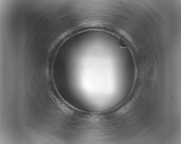 X0000070360922200606121205