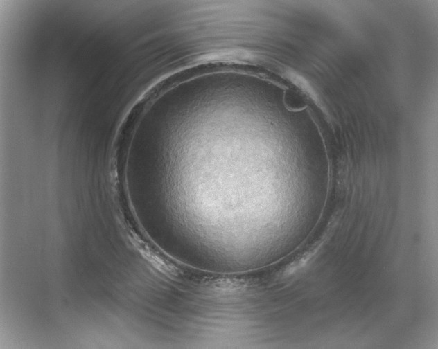 X0000070360923200606121205