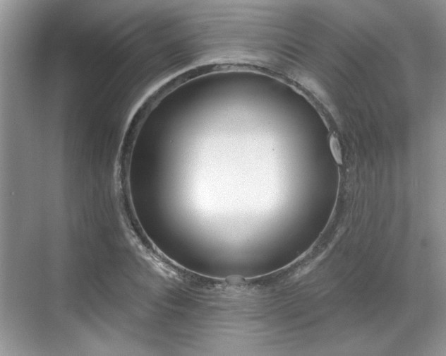 X0000070360928200606121205