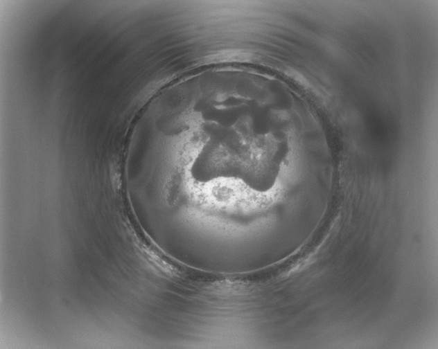 X0000070360929200606121205