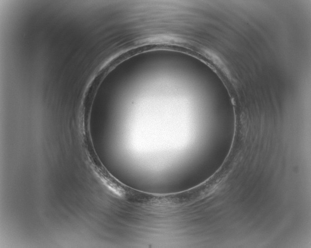 X0000070360931200606121205