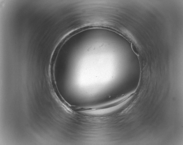 X0000070360932200606121205