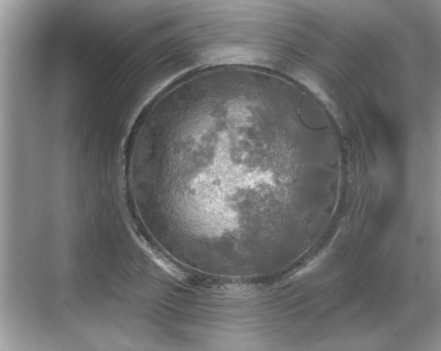 X0000070360933200606121205