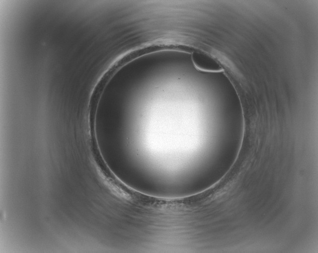 X0000070360934200606121205