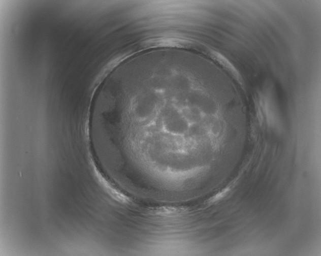 X0000070360938200606121205