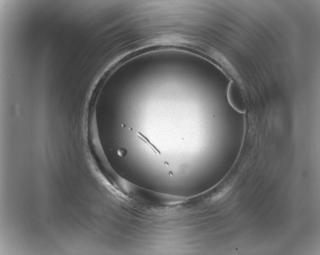 X0000070360939200606121205