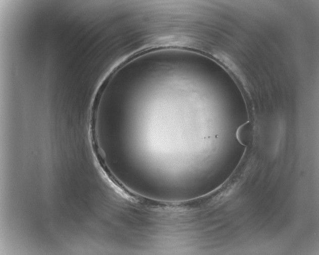 X0000070360941200606121205