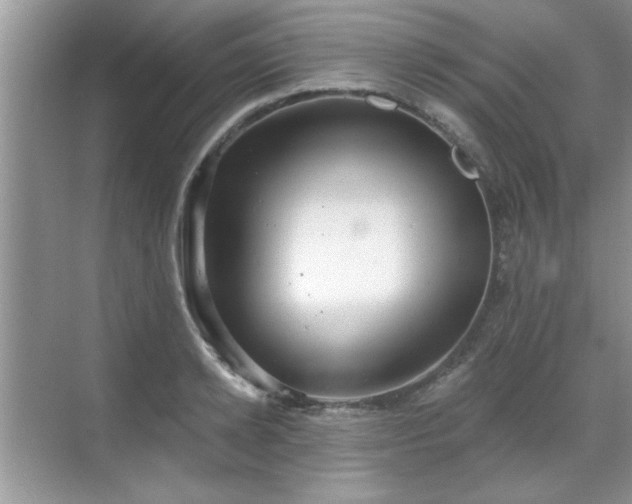 X0000070360942200606121205