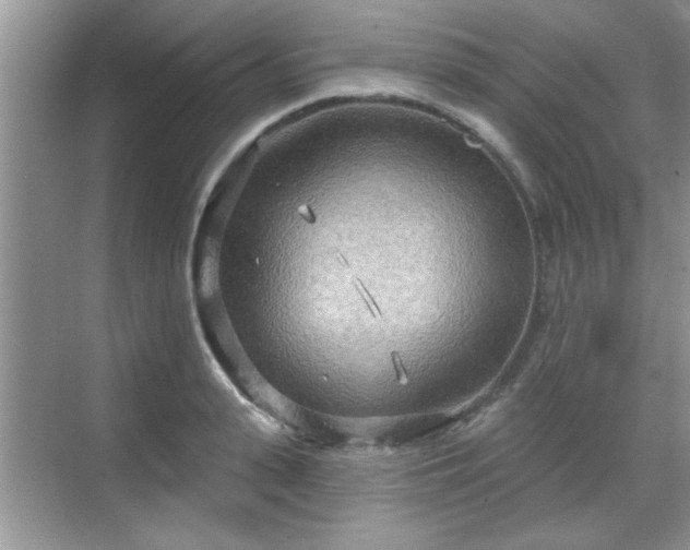 X0000070360943200606121205