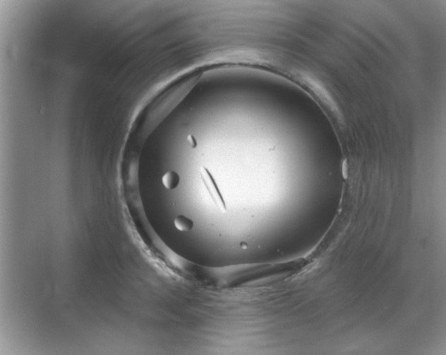 X0000070360944200606121205