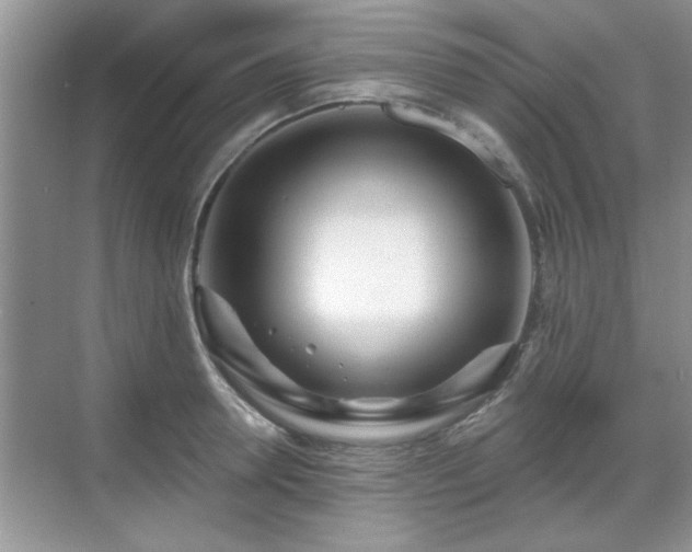 X0000070360946200606121205