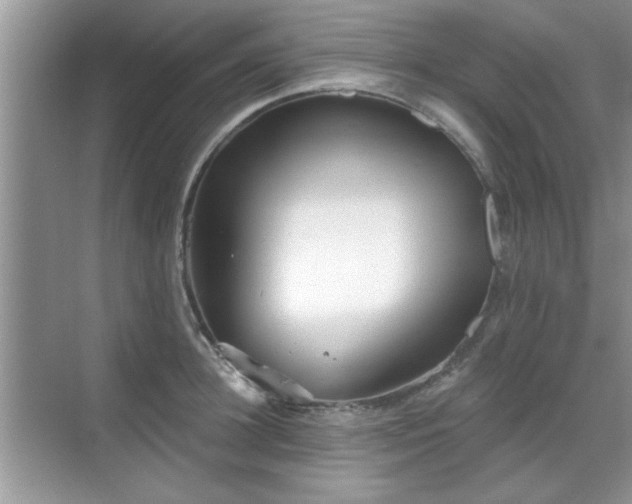 X0000070360948200606121206