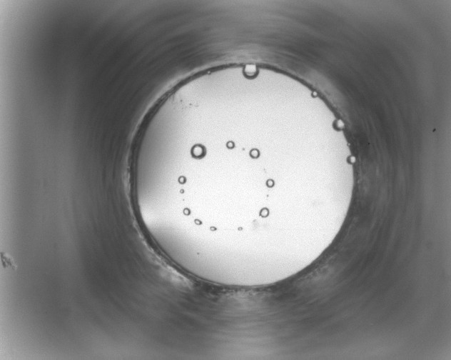 X0000070360950200606121206