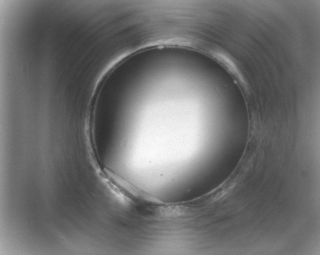 X0000070360952200606121206