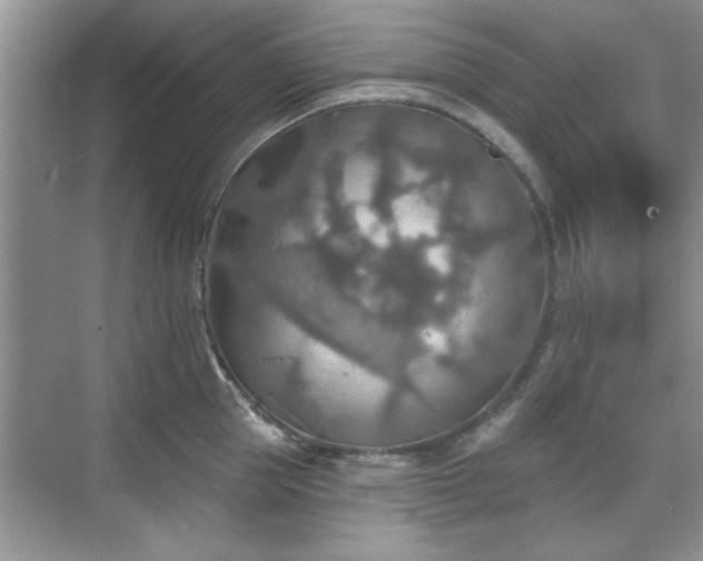 X0000070360953200606121206