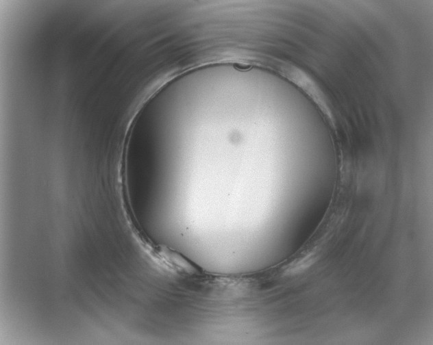 X0000070360954200606121206