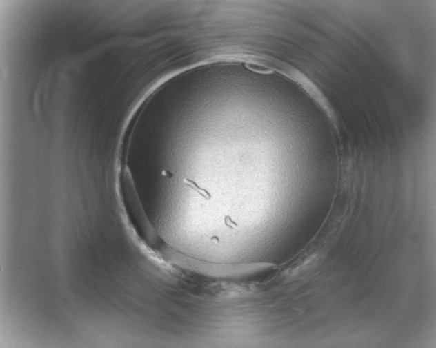 X0000070360955200606121206