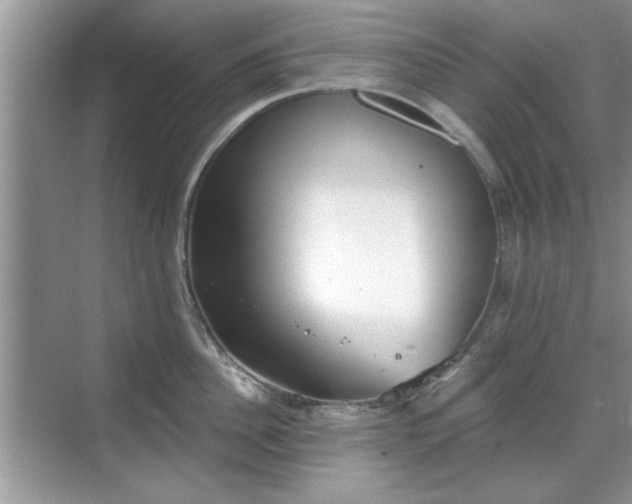 X0000070360956200606121206