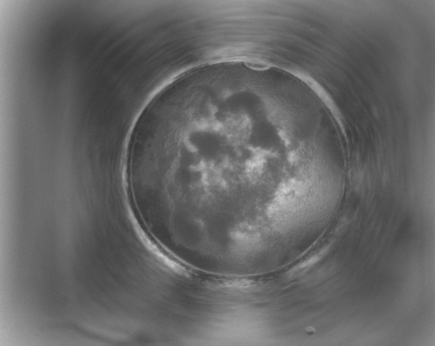 X0000070360957200606121206