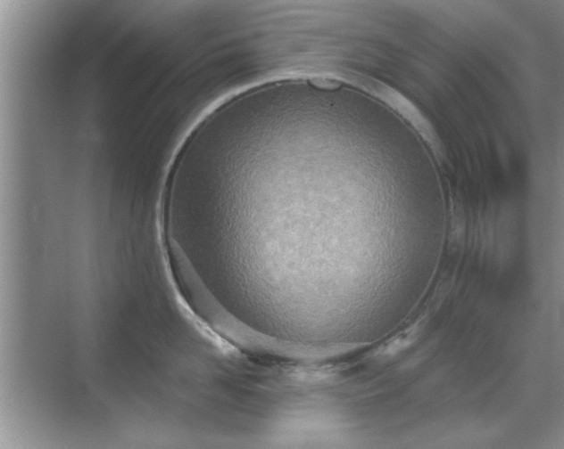 X0000070360958200606121206