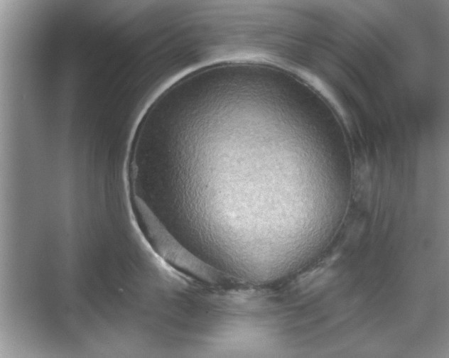 X0000070360959200606121206