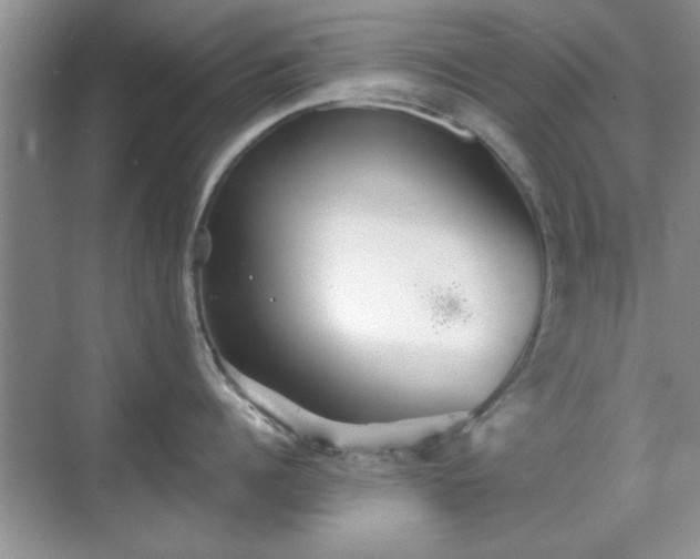 X0000070360960200606121206