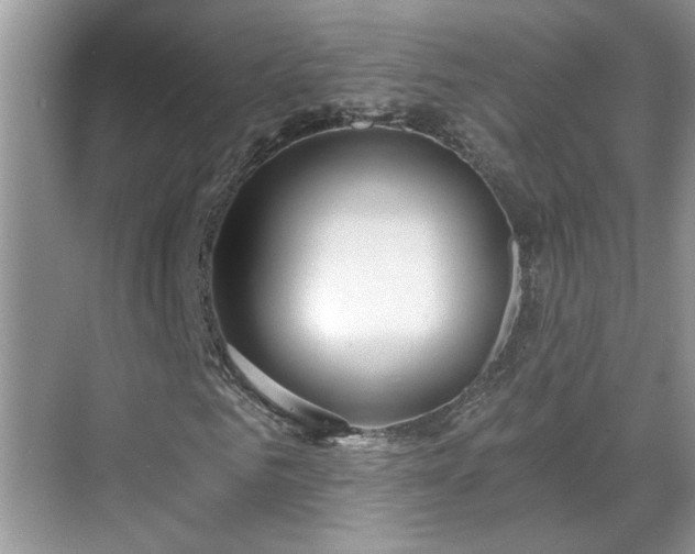 X0000070360961200606121205