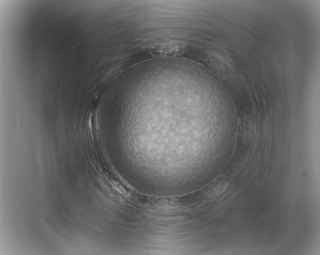 X0000070360962200606121205