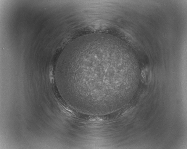 X0000070360963200606121205